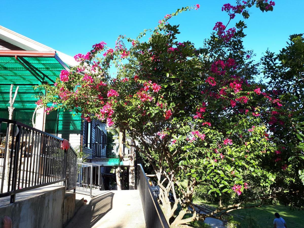 Villa Del Carmen Haven Bohol Dış mekan fotoğraf