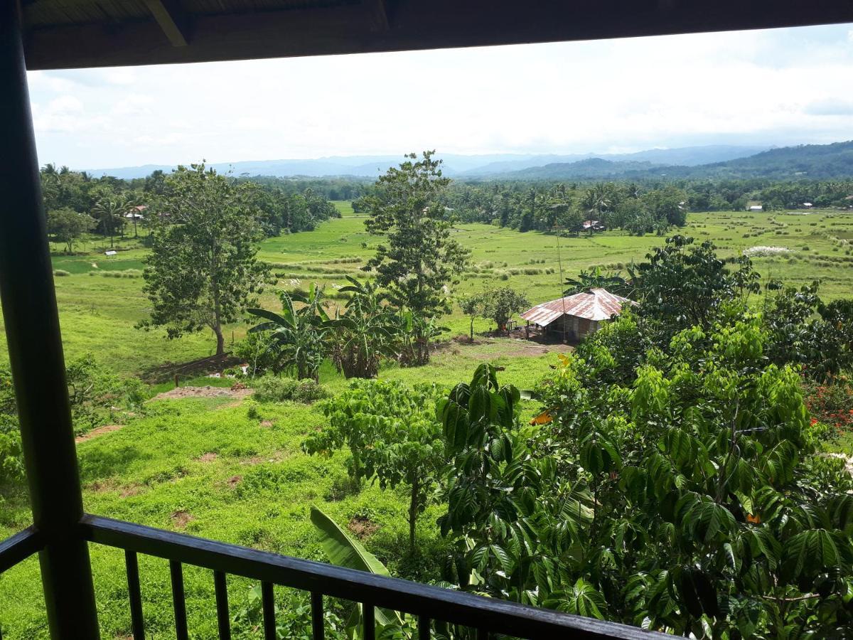 Villa Del Carmen Haven Bohol Dış mekan fotoğraf